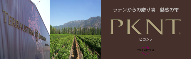 ラテンからの贈り物 魅惑の雫 PKNT-ピカンテ-
